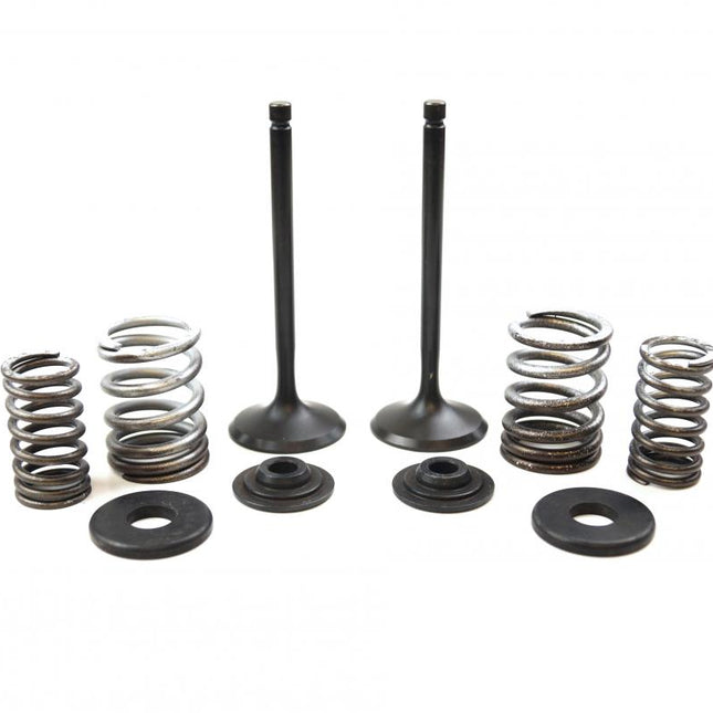 Valve Kit Intake TT-R225, Psychic XU-09518IK XT225
