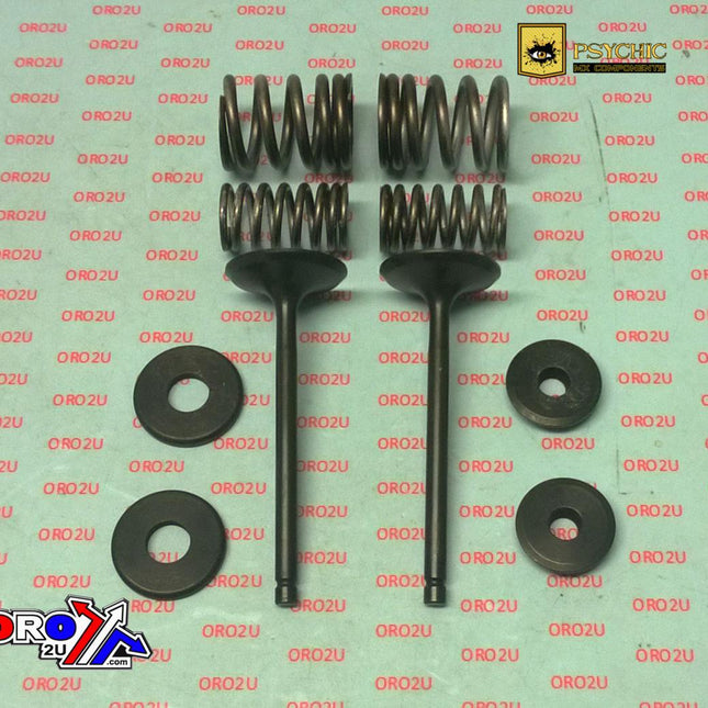 Valve Kit Intake TT-R225, Psychic XU-09518IK XT225