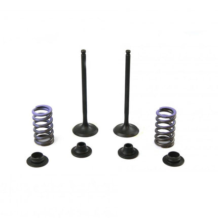 Valve Kit Exhaust Yzf 14-17, Psychic XU-09553EK