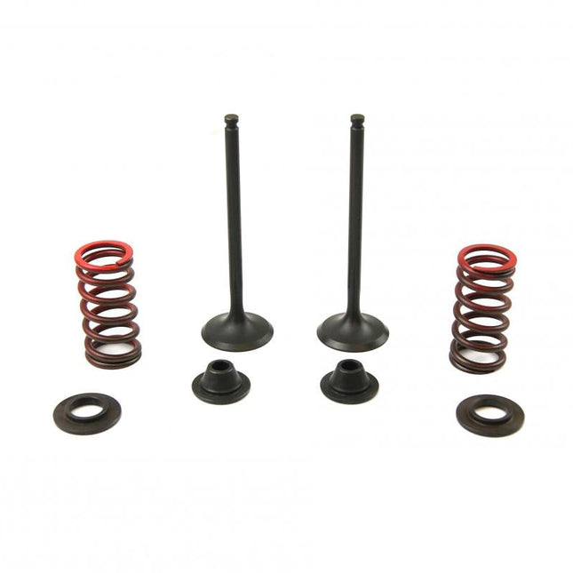 Valve Kit Exhaust WRF250 01-09, Psychic XU-09522EK