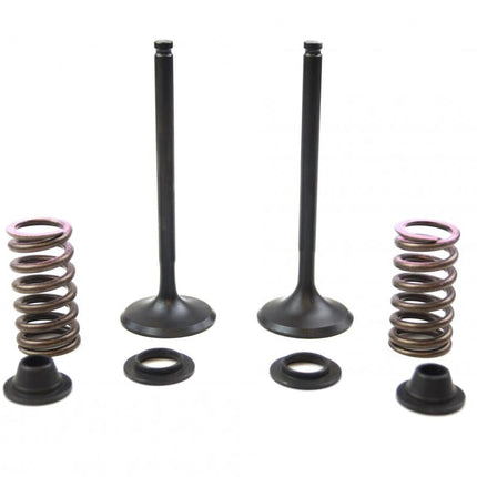 Valve Kit Exhaust YZF450 10-13, Psychic XU-09541EK