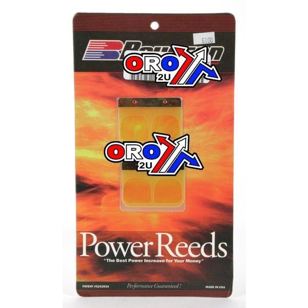 Boyesen Reeds 6100 KX125 01-02