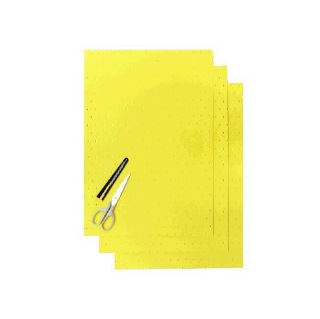 Thick Transpiring PK/3 Yellow, Blackbird 5052/40, BB5052/40