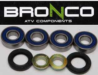 Rear Independent Suspension, Bronco AT-04560