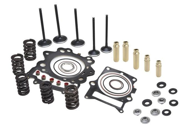 Cylinder Head Service Kit, Kibblewhite 80-82390, Springs Valves Head Gaskets
