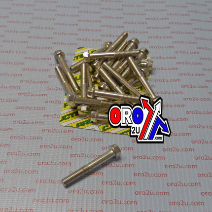 M6 x 40mm FLANGE BOLT, PACK OF 20, 8mm HEX