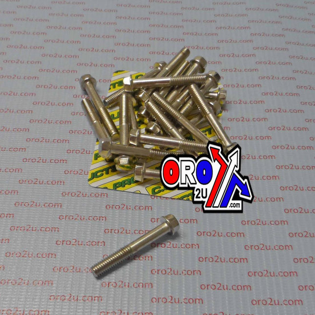 M6 x 40mm FLANGE BOLT, PACK OF 20, 8mm HEX