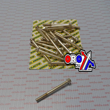 M6 x 60mm FLANGE BOLT, PACK OF 20, 8mm HEX