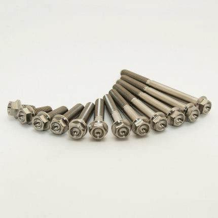 Titanium Engine Bolt Kit 20-23 Gasgas Husqvarna KTM Ec Fe Exc-f 250 350 GR5-TI Scar STIMENG250EXCF2